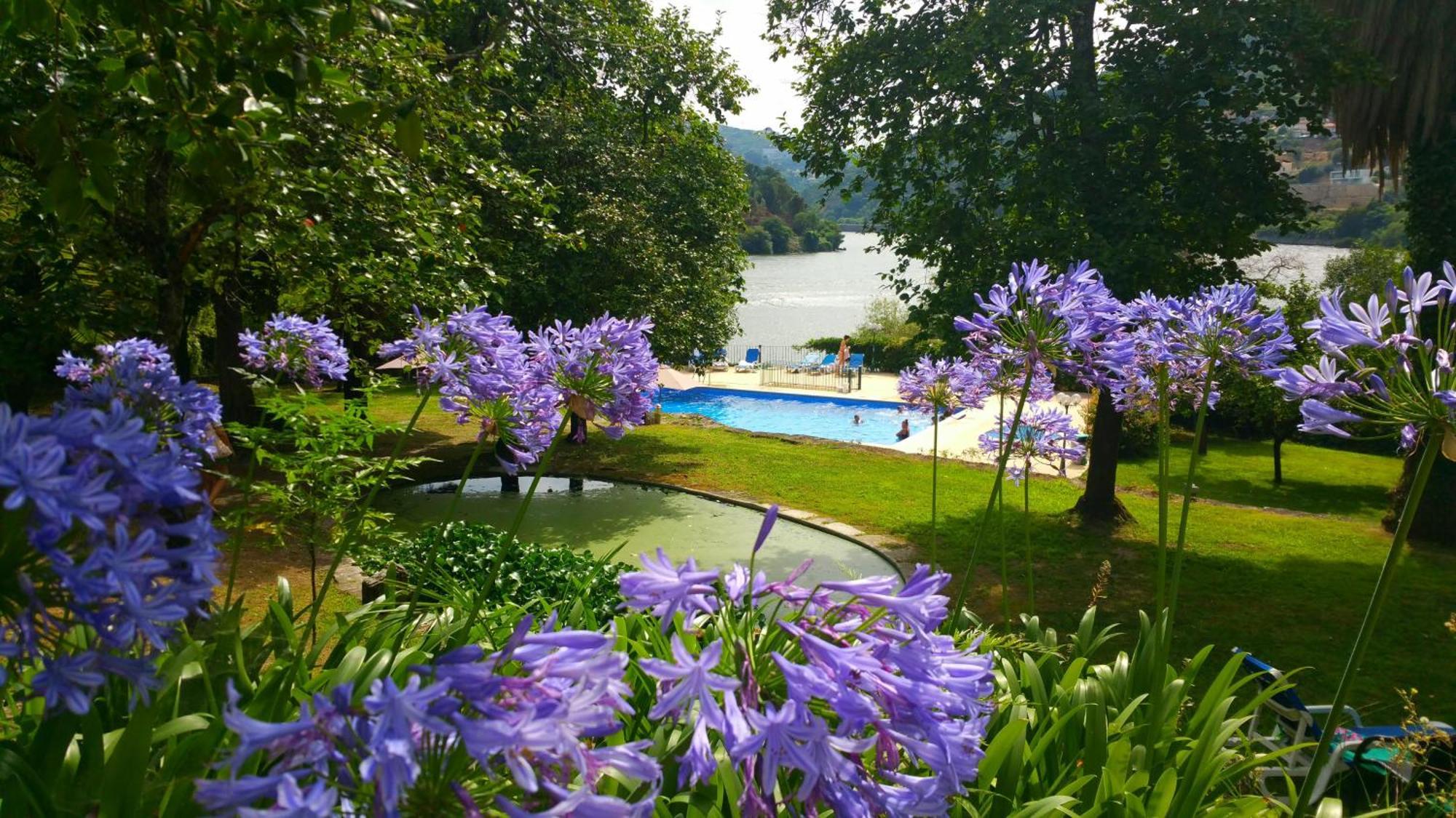 Quinta Da Ermida - Turismo De Habitacao Bed and Breakfast Baião Εξωτερικό φωτογραφία