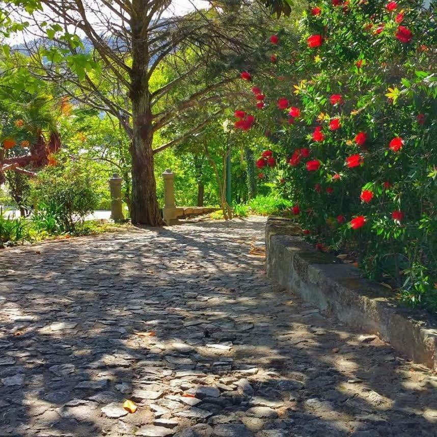 Quinta Da Ermida - Turismo De Habitacao Bed and Breakfast Baião Εξωτερικό φωτογραφία